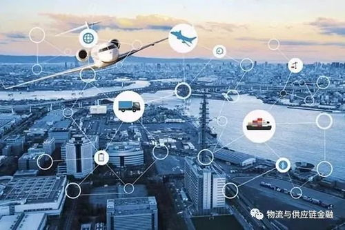 重庆货物空运怎么发,重庆空运的宠物到哪里去取?