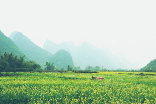 《种地吧第三季》：田园生活的治愈力，还是综