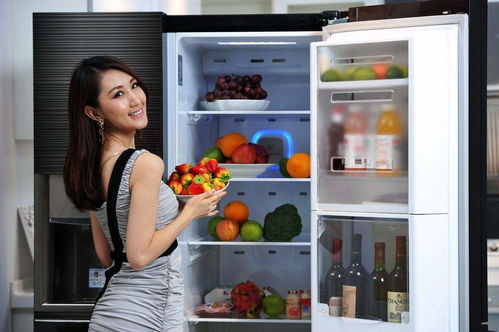 《拜托了冰箱2》：美食与明星的冰箱里藏着什么