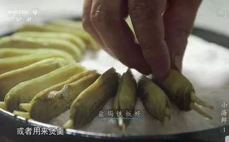 《美食新闻周报》：舌尖上的故事，味蕾里的新