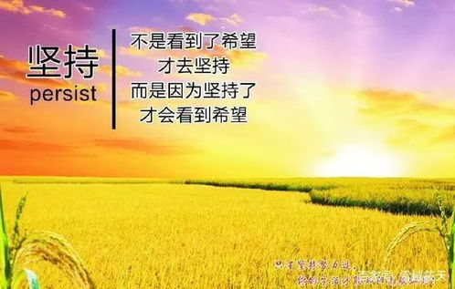 《幸福来敲门2012》：当梦想与现实碰撞，幸福究