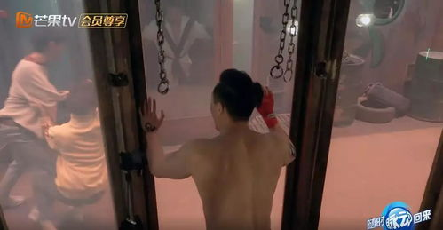 一档让明星们