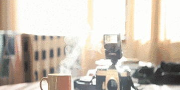 《芬兰租房生活》：北欧式蜗居，是佛系还是无