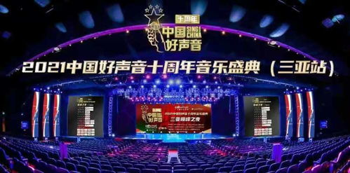 音乐盛典的璀璨之夜