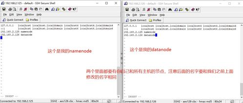 六、首次运行与设置