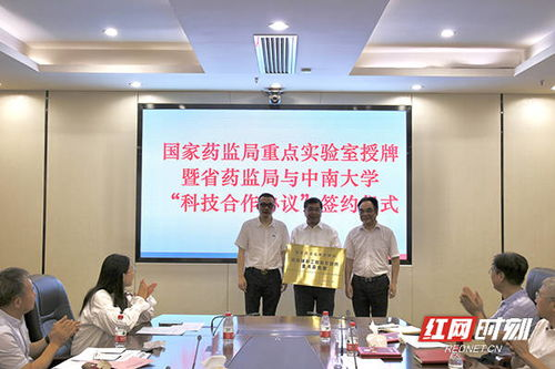 六、技术实现与艺术表现