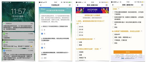 六、用户反馈与支持