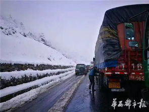 《一个和四个》：藏地悬疑风暴，谁在谎言中活