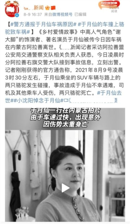 当房贷撞上梦想,这部金马奖提名作品戳中了中年人的痛