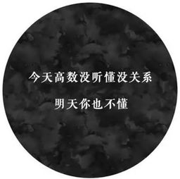 《一泡而红》：这部低成本喜剧凭什么成为年度
