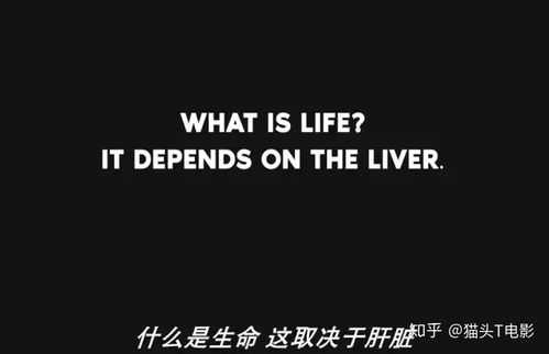 一部被时间重新定义的悬疑经典