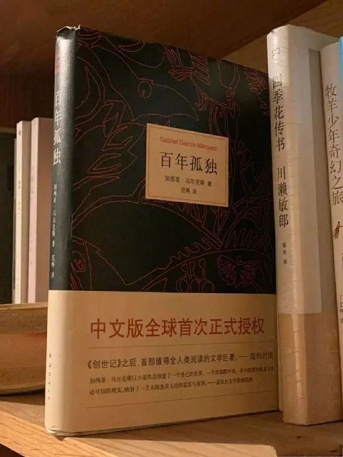 一部被时间遗忘的俄罗斯文学瑰宝
