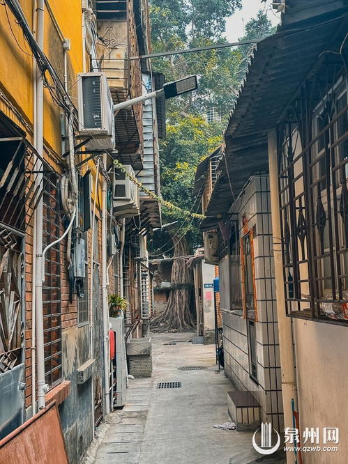 一条小巷,百态人生