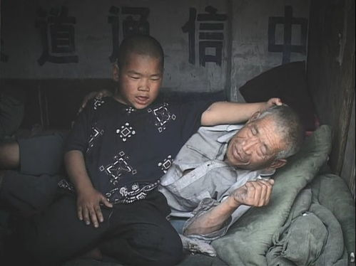 一部撕开巴西社会伤口的电影经典