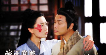 《上错花轿嫁对郎》：一场阴差阳错的浪漫喜剧