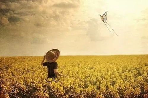 《不可思议但真实》：一部让你怀疑现实的荒诞