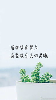 一部关于成长的暖心之作