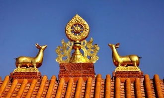 影视基本背景:跨越千年的佛教传奇
