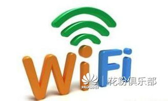 一、网盘下载速度受哪些因素影响