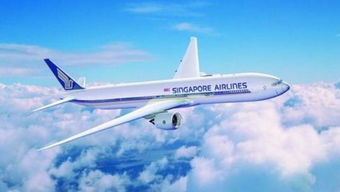 一、遥墙国内航空件的服务特点