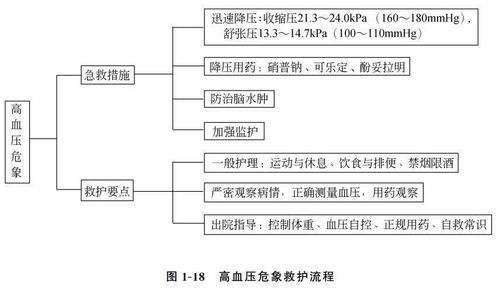 一、乐器空运的标准化流程