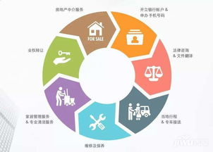 一、服务范围与专业性