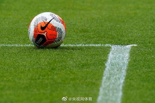 手机看球黑科技大揭秘！2024最新观赛姿势全解析