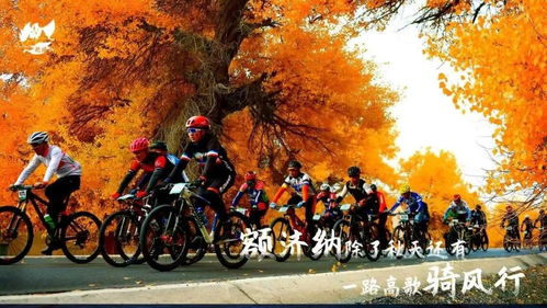 影视基本背景：一场跨越千年的奇幻之旅