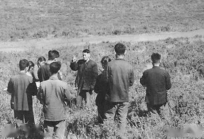 《马庄村[预告片]》：这部农村题材电影为何未映