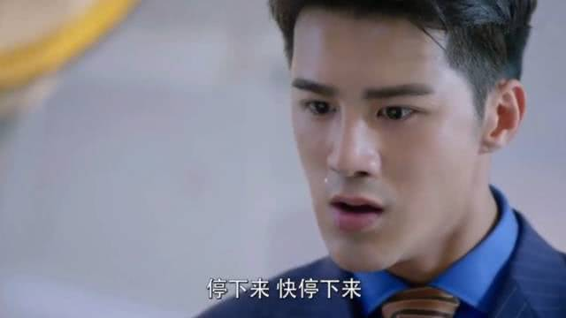 当霸道总裁遇上职场小白兔