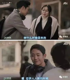 《顾总，夫人她叒虐渣了》：霸道总裁与复仇女