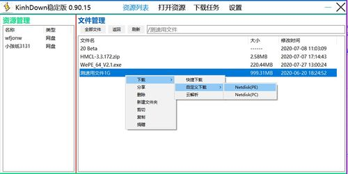 二、选择合适的网盘音乐下载工具