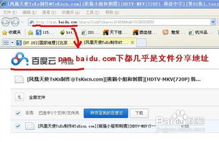 2. 使用网盘内建的搜索功能