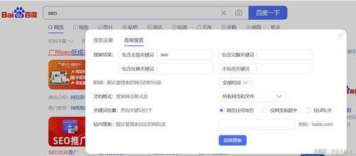 2. 使用高级搜索功能