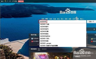 2. 利用高级搜索功能