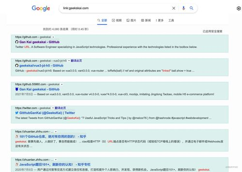 二、使用高级搜索技巧筛选资源