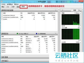 1. 检查网络连接