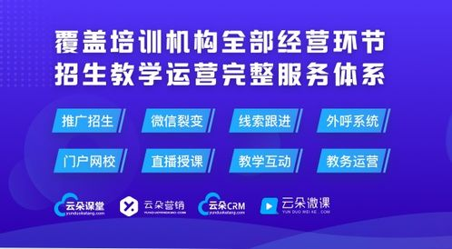 欧洲足球赛事直播观看指南，实时观赛平台全解析