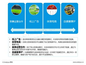 多维度赛事覆盖满足观赛需求