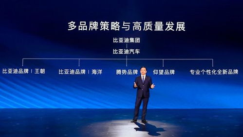 乐球直播：免插件观看新体验，随时随地畅享高清赛事