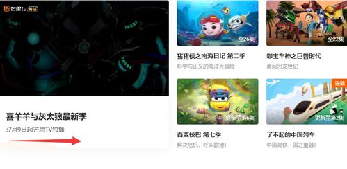 荷兰足球直播网站推荐，五大权威观赛平台解析