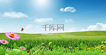 绿色观赛新标杆的诞生背景