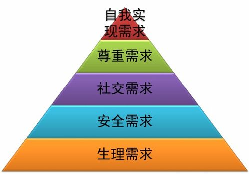 足球赛事直播平台，随时随地畅享激情赛事