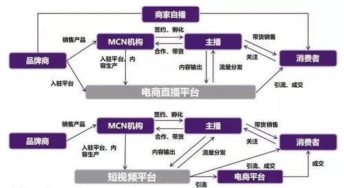 搜米直播体育——体育赛事直播平台，随时随地畅享精彩比赛