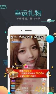 广州恒大足球俱乐部赛事直播，点燃绿茵激情
