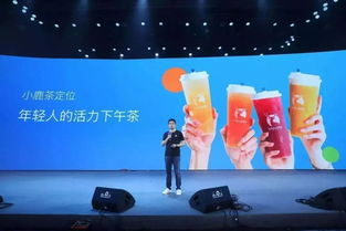欧宝体育直播平台，篮球足球赛事观看指南与深度解析