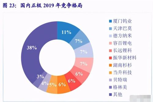 来球网的五大核心优势解析