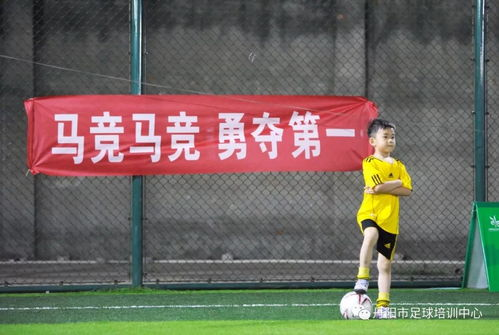 一、如何选择24小时免费足球直播网站