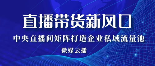 蓝鲸足球直播平台广州观赛指南，精彩赛事不错过