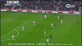 西瓜足球赛事直播平台详解